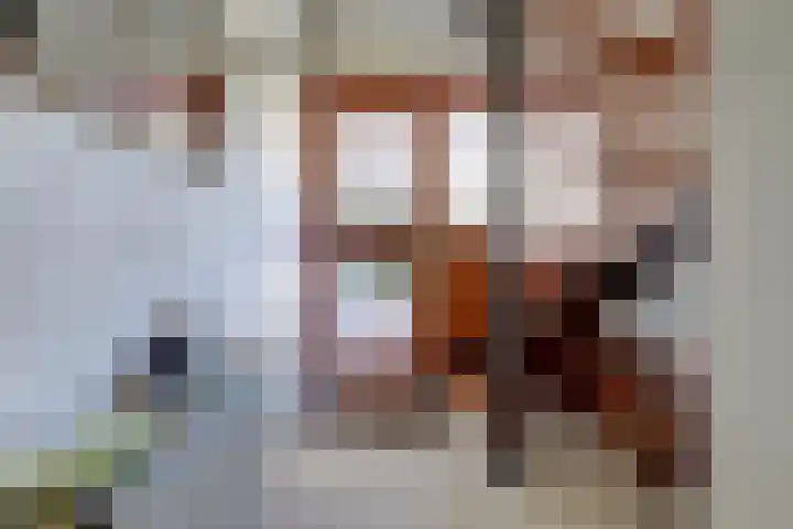 Brouwerslaan 37 Bemmel thumbnail 4