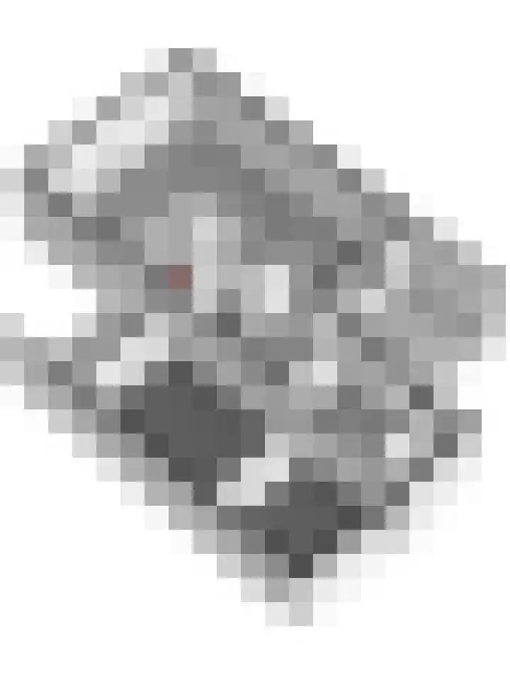 Brouwerslaan 37 Bemmel thumbnail 47