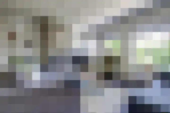 Brouwerslaan 37 Bemmel thumbnail 6