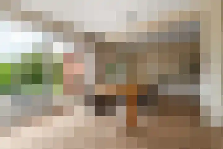 Brouwerslaan 50 Bemmel thumbnail 12