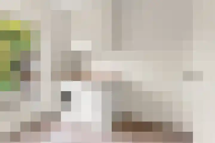 Brouwerslaan 50 Bemmel thumbnail 19
