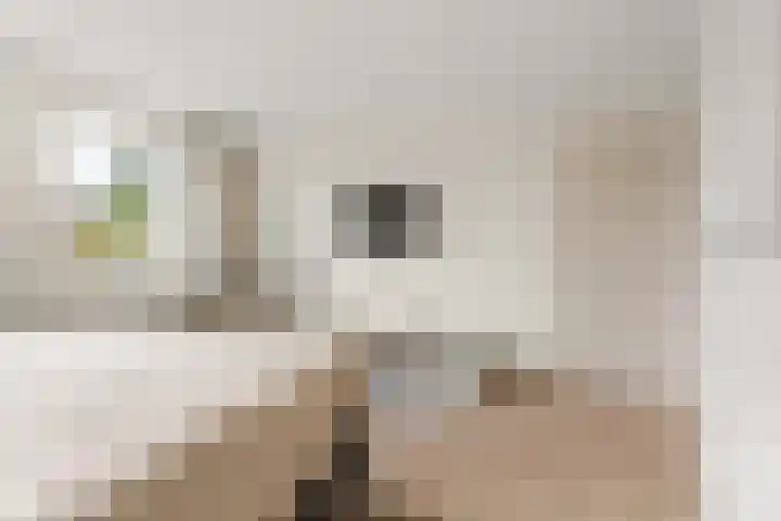 Brouwerslaan 50 Bemmel thumbnail 26