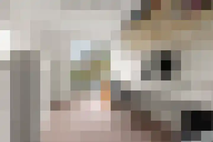 Brouwerslaan 50 Bemmel thumbnail 27
