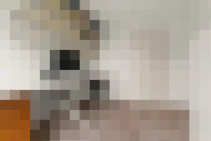 Brouwerslaan 50 Bemmel thumbnail 28