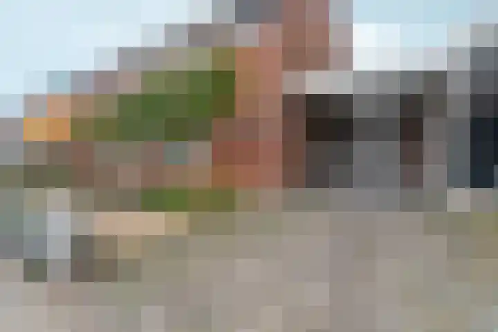 Brouwerslaan 50 Bemmel thumbnail 4