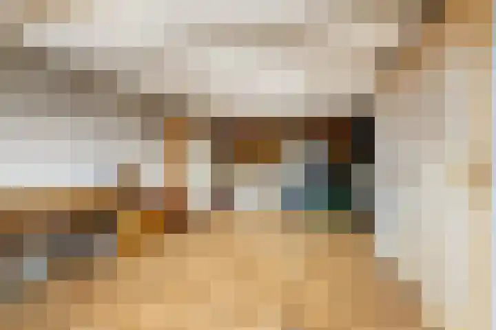 Brouwerslaan 50 Bemmel thumbnail 40