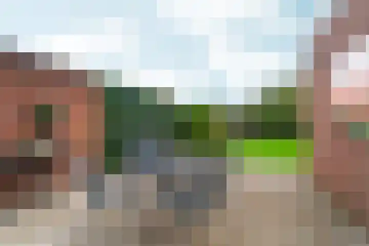 Brouwerslaan 50 Bemmel thumbnail 46