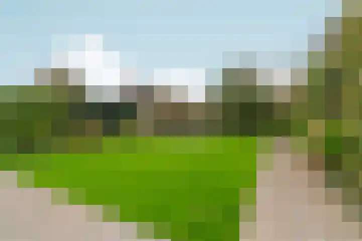 Brouwerslaan 50 Bemmel thumbnail 48