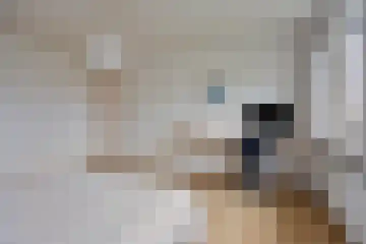 Brouwerslaan 52 Bemmel thumbnail 20