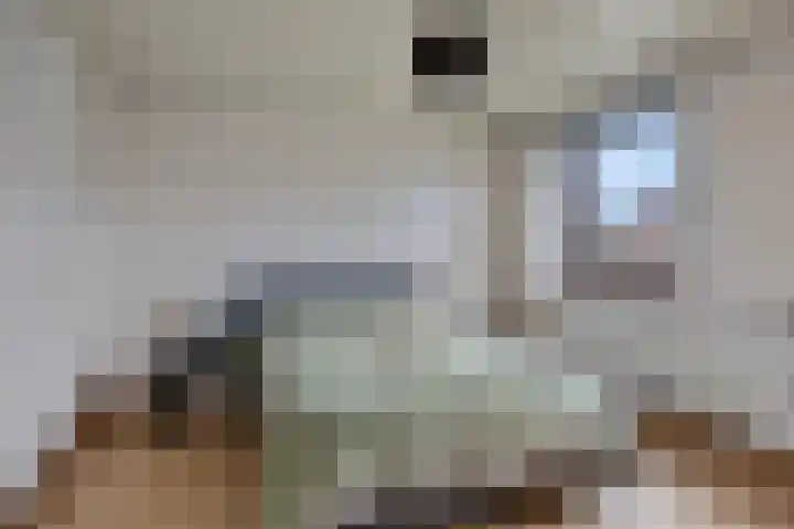 Brouwerslaan 52 Bemmel thumbnail 24