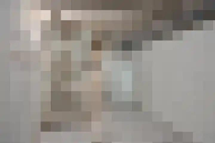 Brouwerslaan 52 Bemmel thumbnail 32