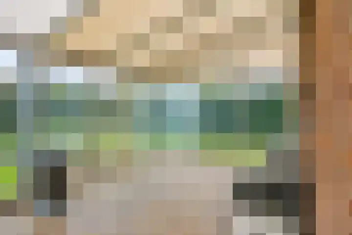 Brouwerslaan 52 Bemmel thumbnail 36