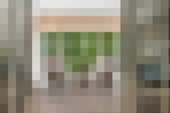 Brouwersmolenweg 359 Ugchelen thumbnail 10
