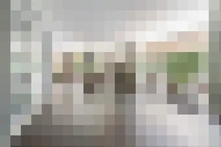 Brouwersmolenweg 359 Ugchelen thumbnail 12