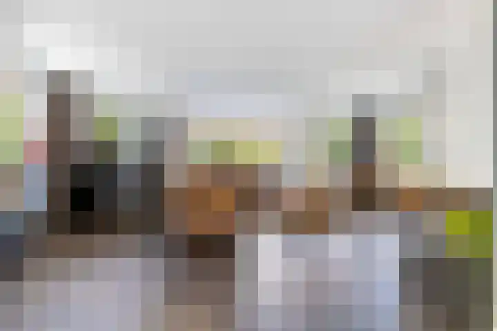 Brouwersmolenweg 359 Ugchelen thumbnail 4