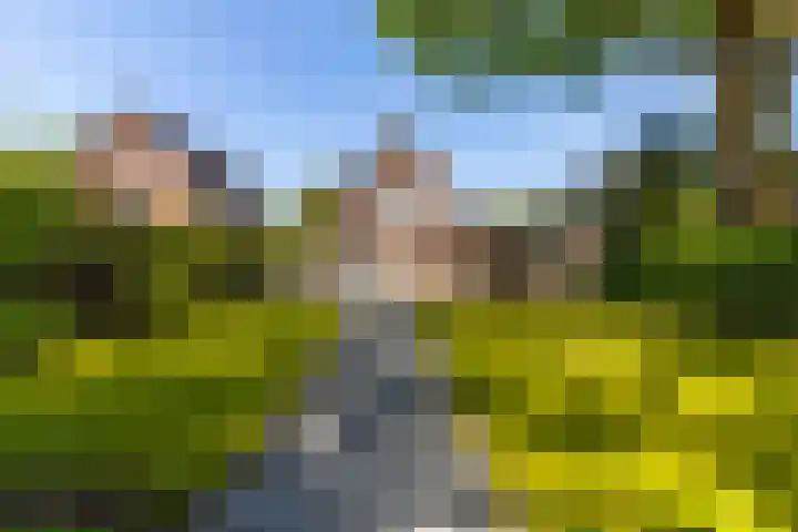 Brouwersmolenweg 359 Ugchelen thumbnail 44