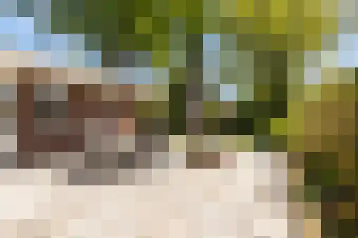 Brouwersmolenweg 359 Ugchelen thumbnail 46