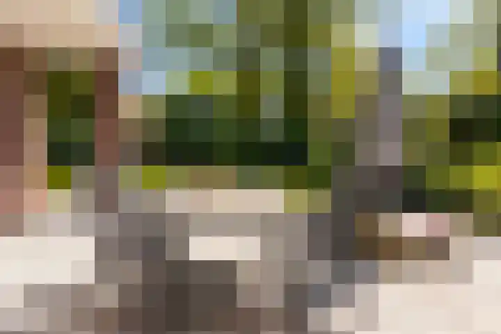 Brouwersmolenweg 359 Ugchelen thumbnail 47