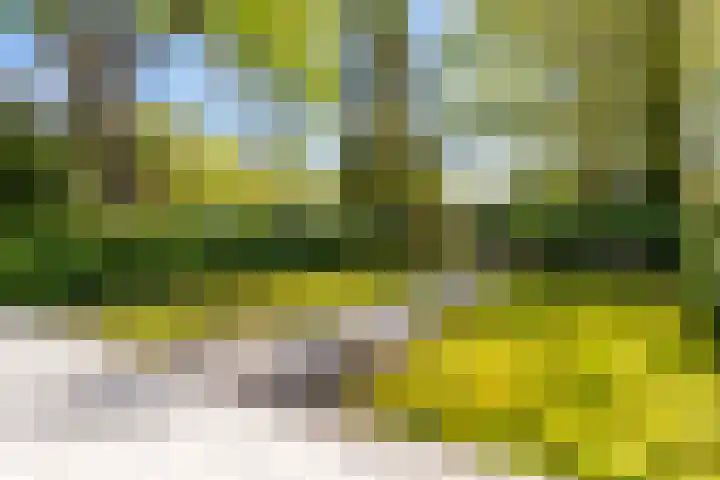 Brouwersmolenweg 359 Ugchelen thumbnail 48