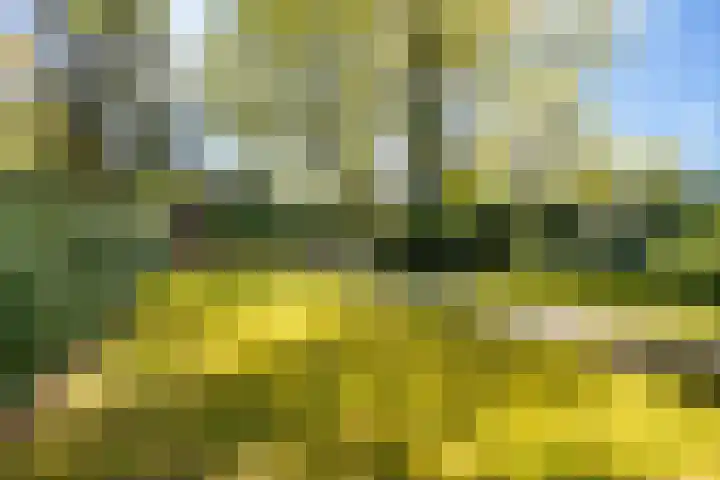 Brouwersmolenweg 359 Ugchelen thumbnail 49