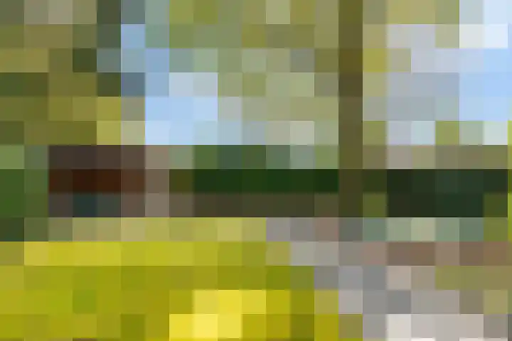 Brouwersmolenweg 359 Ugchelen thumbnail 50
