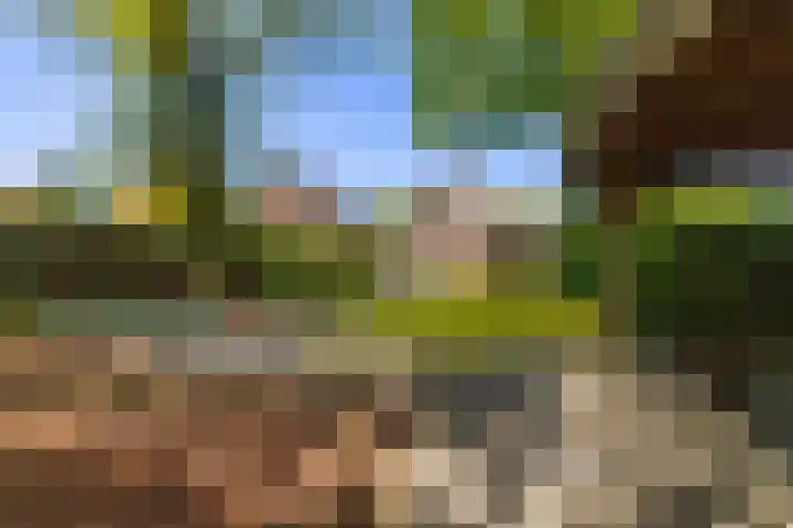 Brouwersmolenweg 359 Ugchelen thumbnail 51