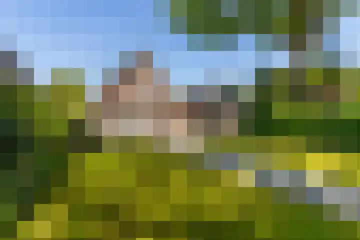 Brouwersmolenweg 359 Ugchelen thumbnail 52