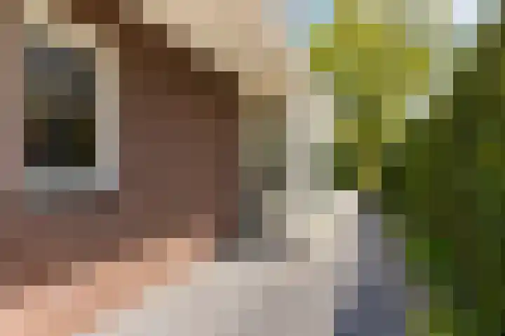 Brouwersmolenweg 359 Ugchelen thumbnail 54