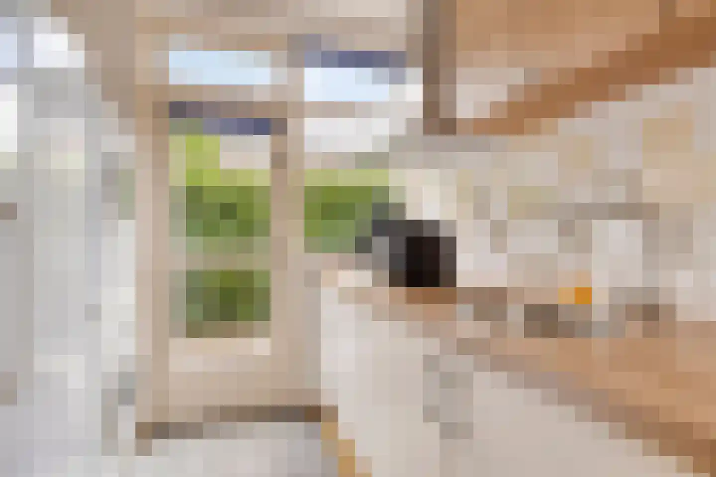 Brouwersmolenweg 375 Ugchelen thumbnail 16