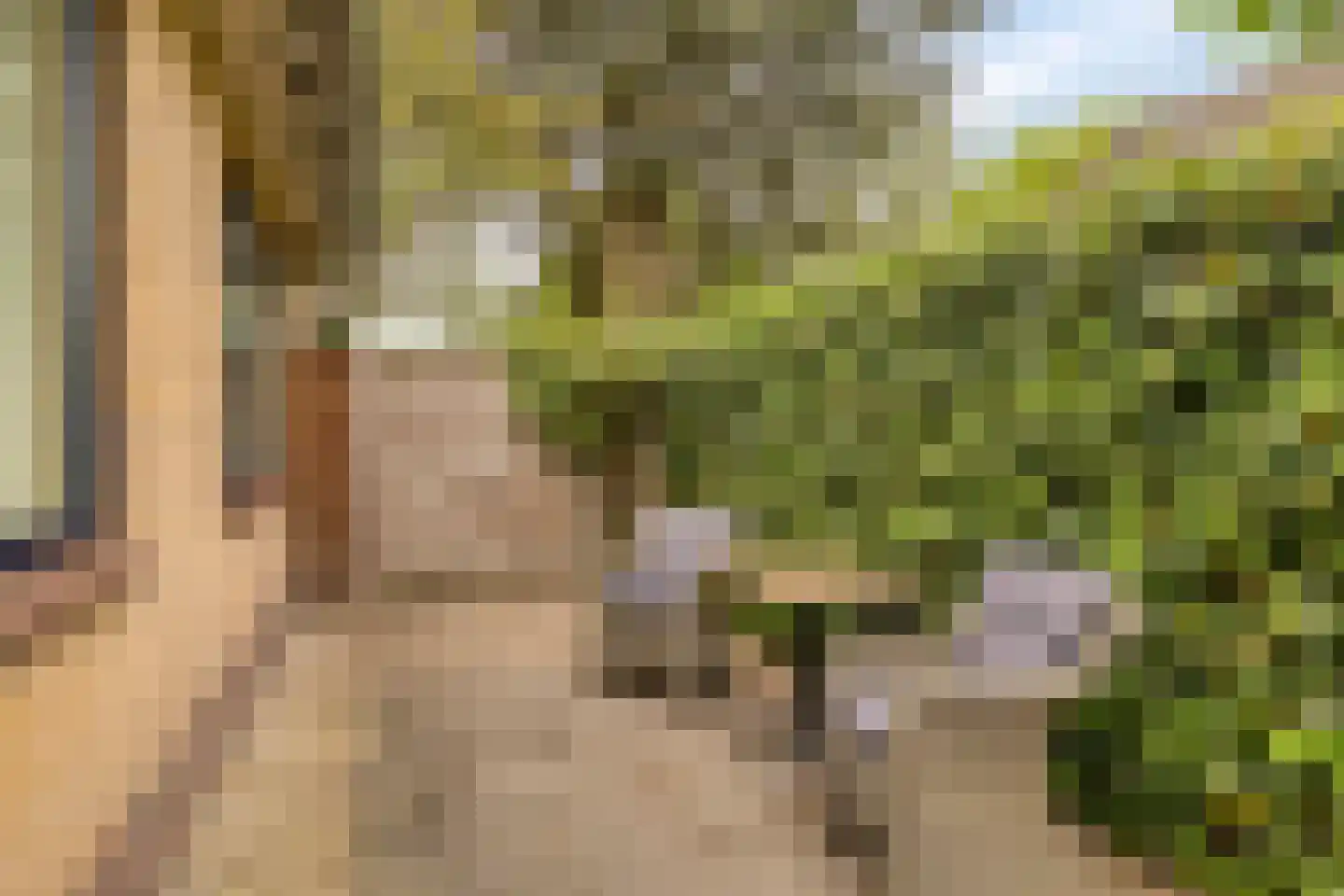 Brouwersmolenweg 375 Ugchelen thumbnail 43
