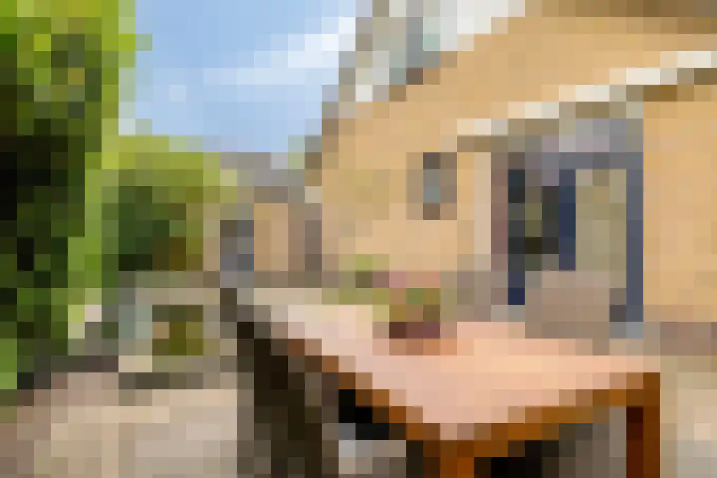 Brouwersmolenweg 375 Ugchelen thumbnail 44