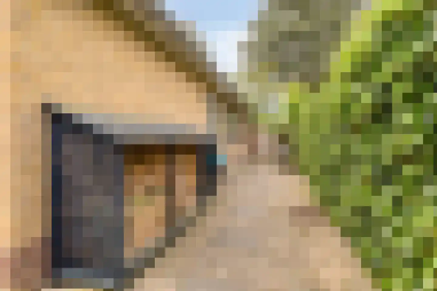 Brouwersmolenweg 375 Ugchelen thumbnail 47