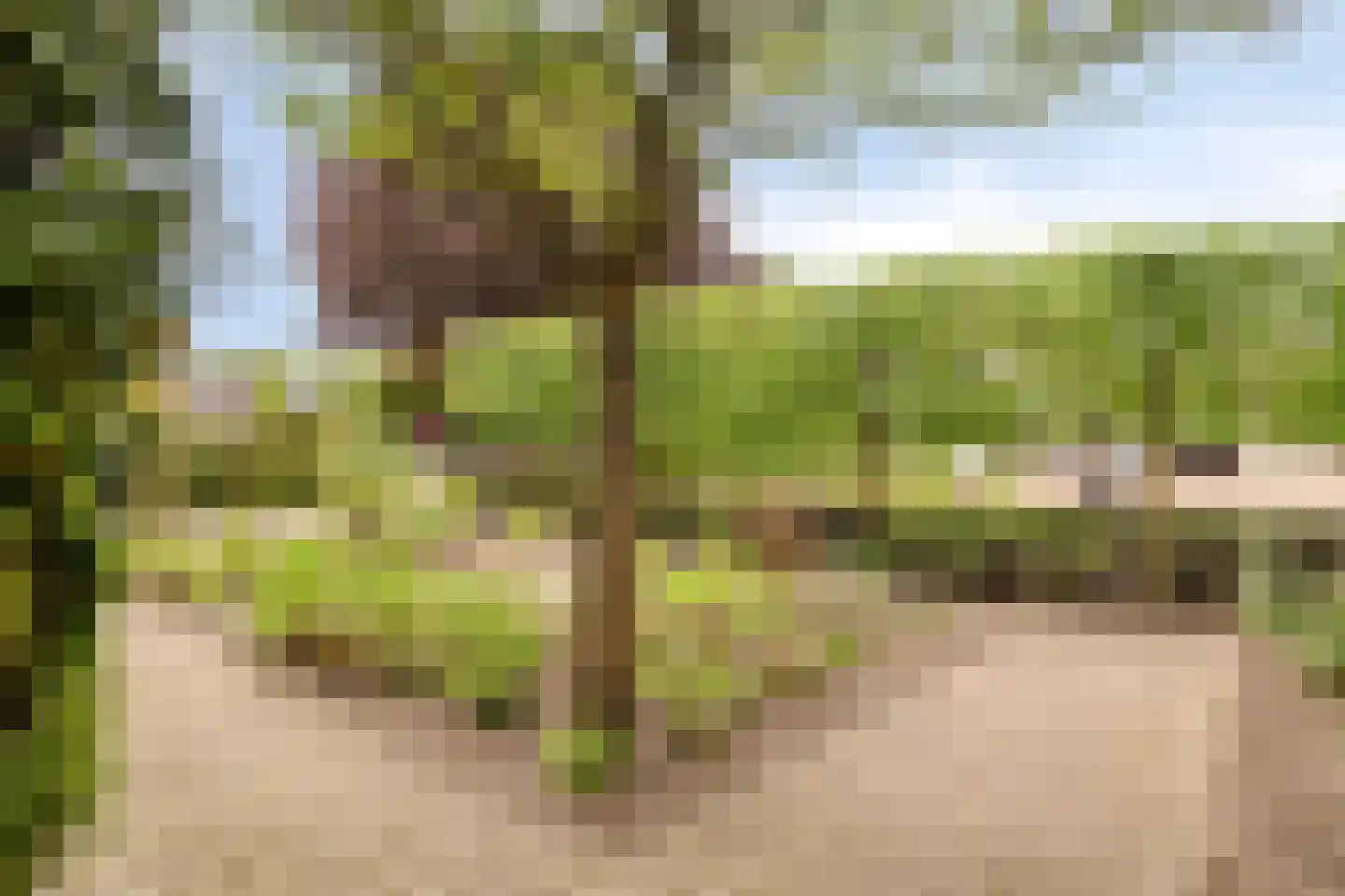 Brouwersmolenweg 375 Ugchelen thumbnail 48