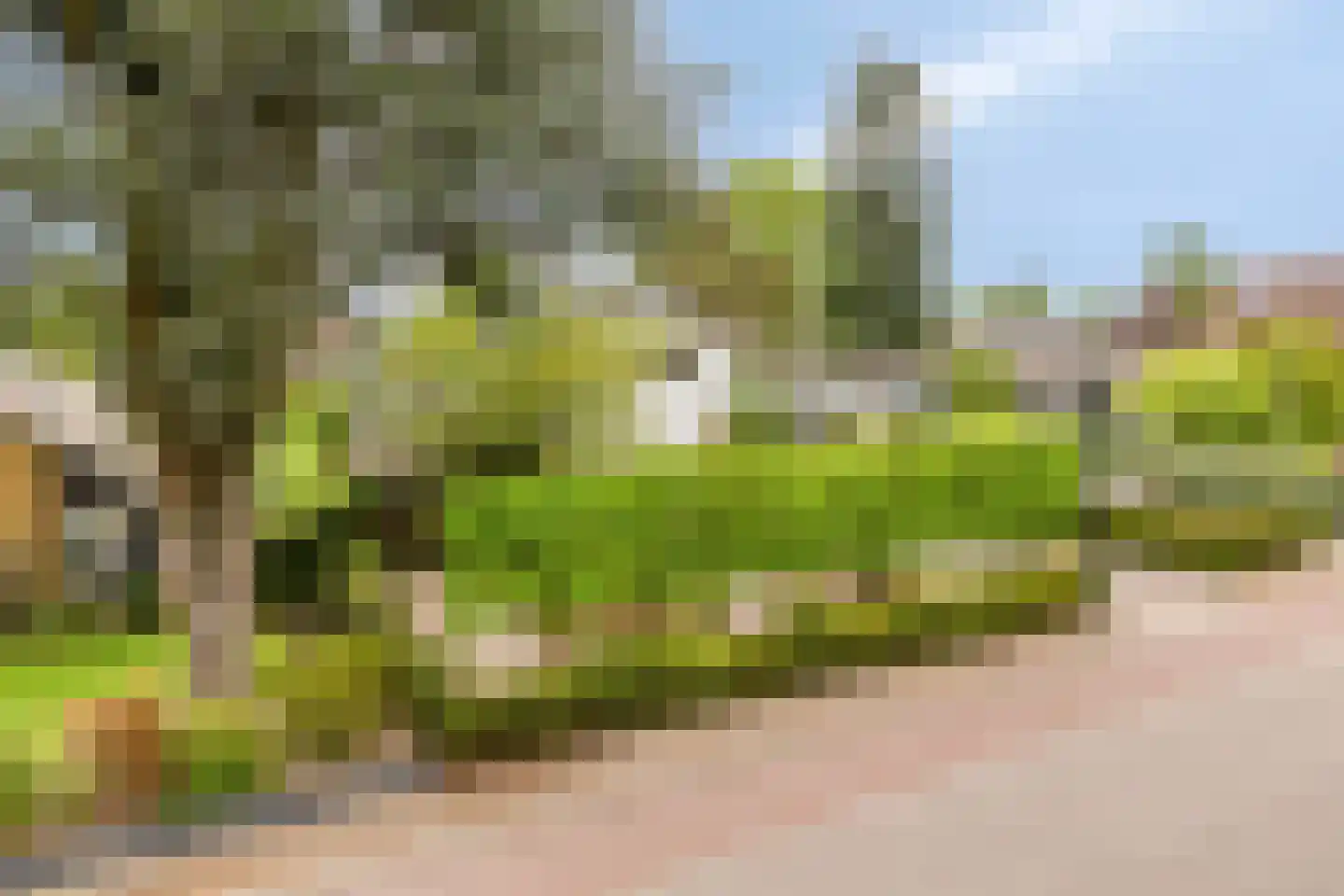 Brouwersmolenweg 375 Ugchelen thumbnail 49