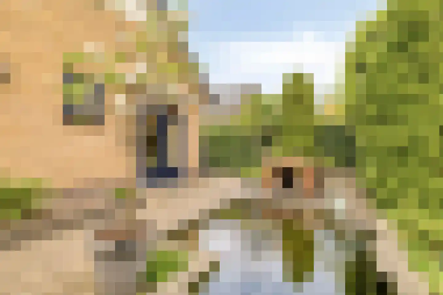 Brouwersmolenweg 375 Ugchelen thumbnail 50