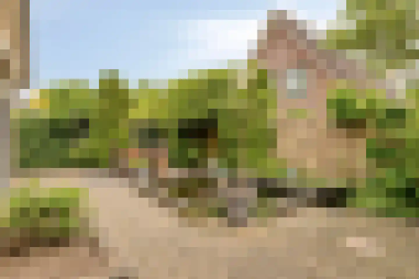 Brouwersmolenweg 375 Ugchelen thumbnail 51