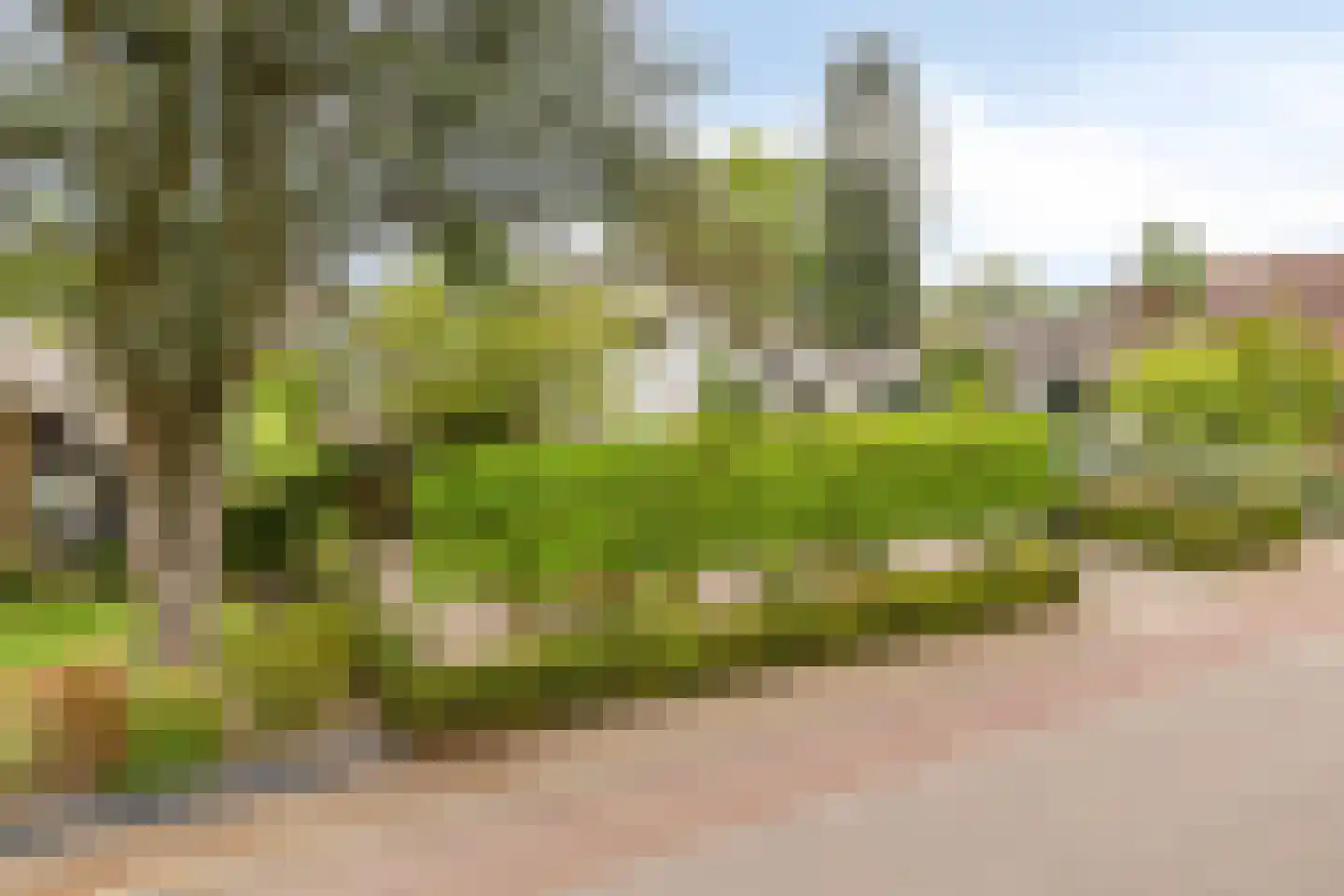 Brouwersmolenweg 375 Ugchelen thumbnail 52