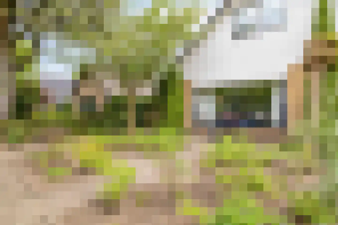 Brouwersmolenweg 375 Ugchelen thumbnail 53