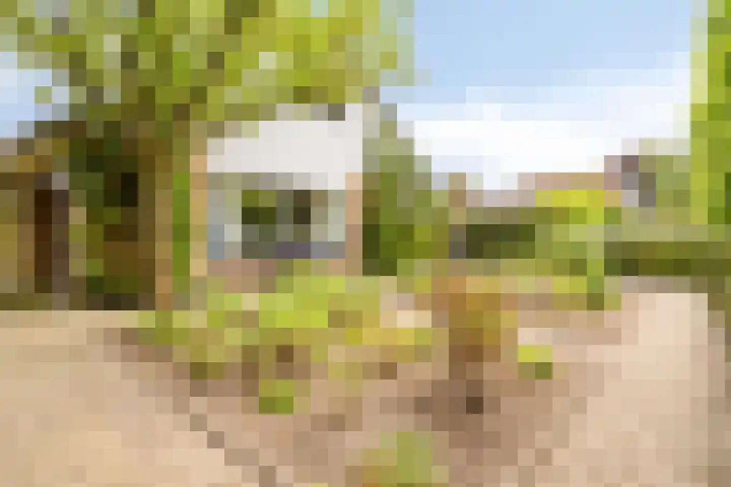Brouwersmolenweg 375 Ugchelen thumbnail 55