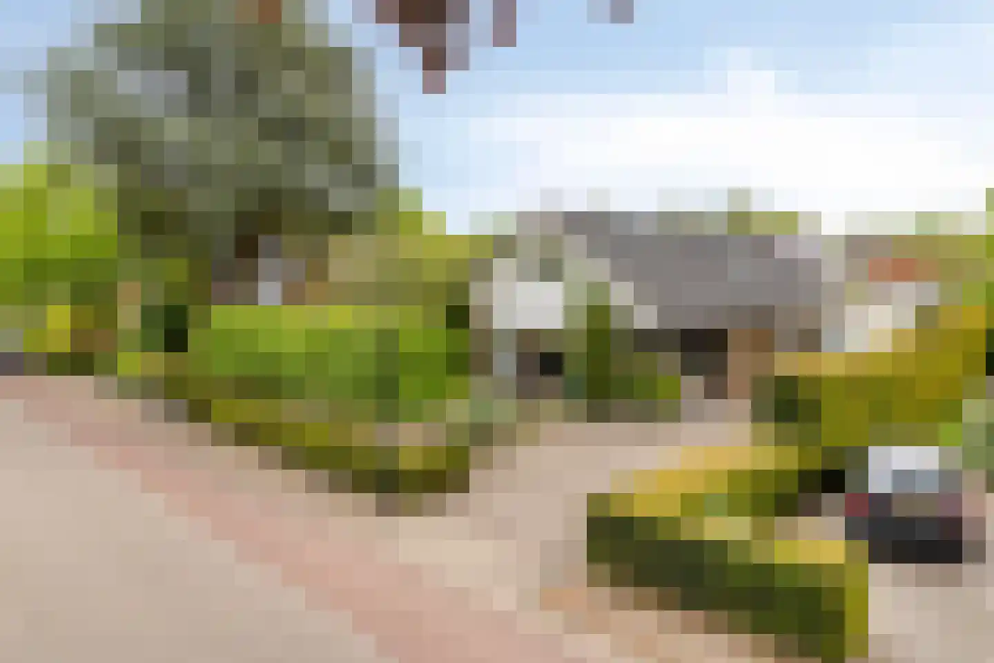 Brouwersmolenweg 375 Ugchelen thumbnail 57