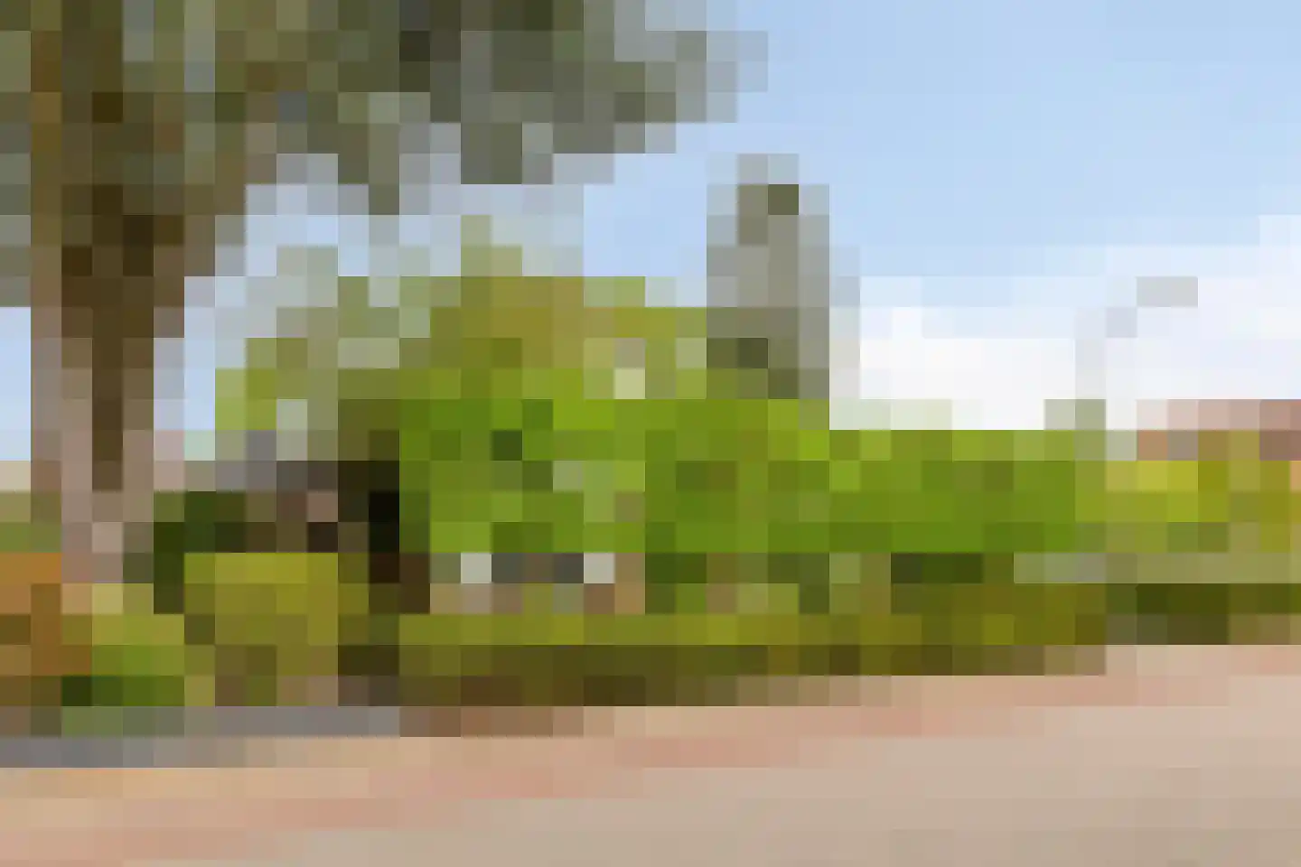 Brouwersmolenweg 375 Ugchelen thumbnail 62