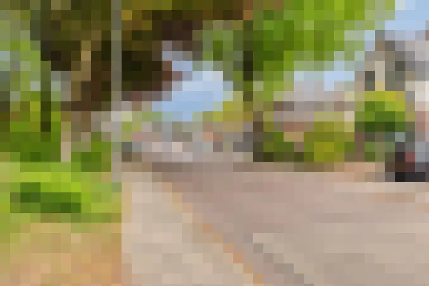 Brouwersmolenweg 375 Ugchelen thumbnail 66