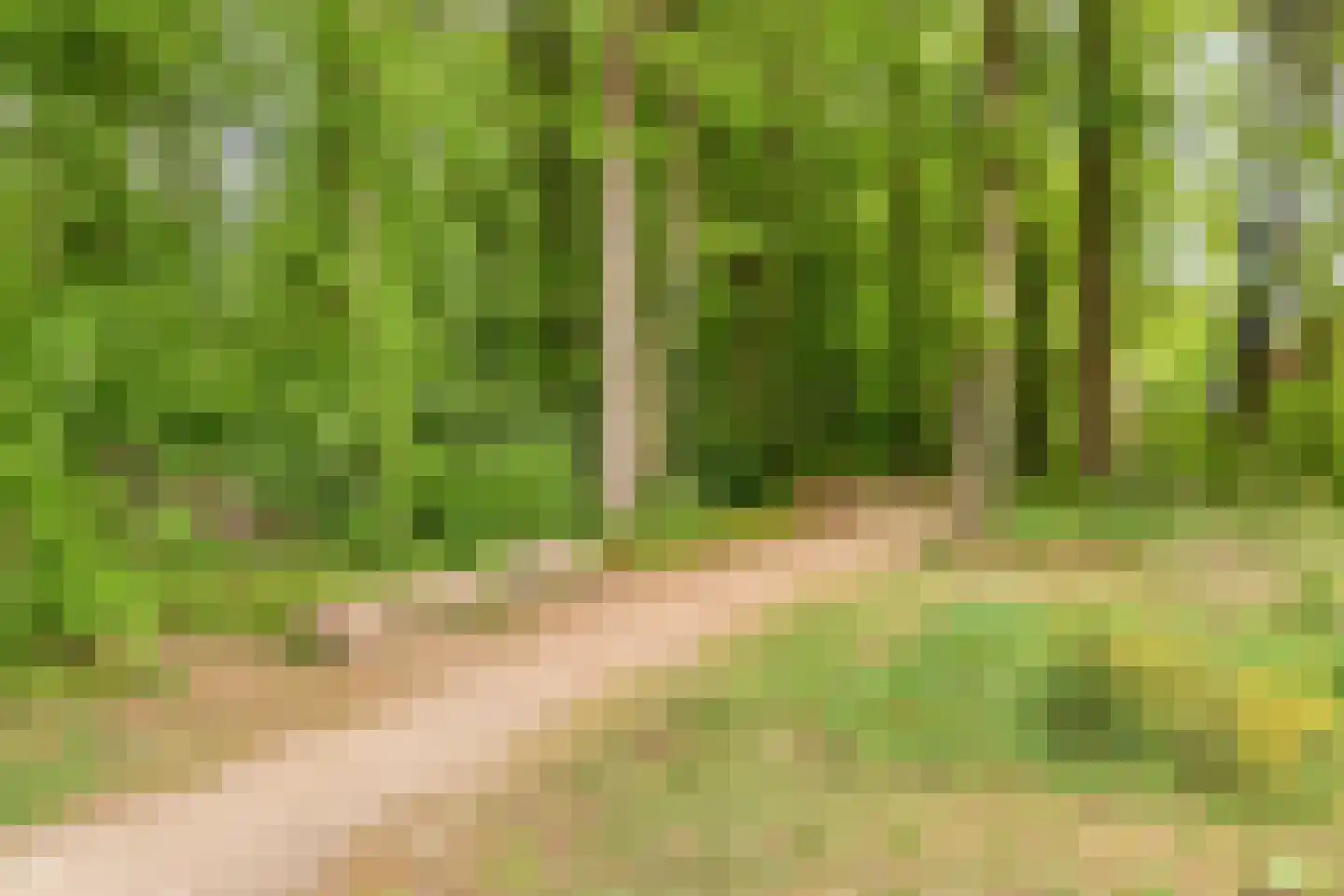 Brouwersmolenweg 375 Ugchelen thumbnail 67