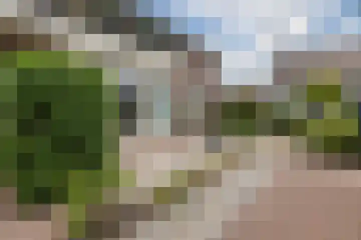 Brouwerspad 2 a Zeeland thumbnail 5
