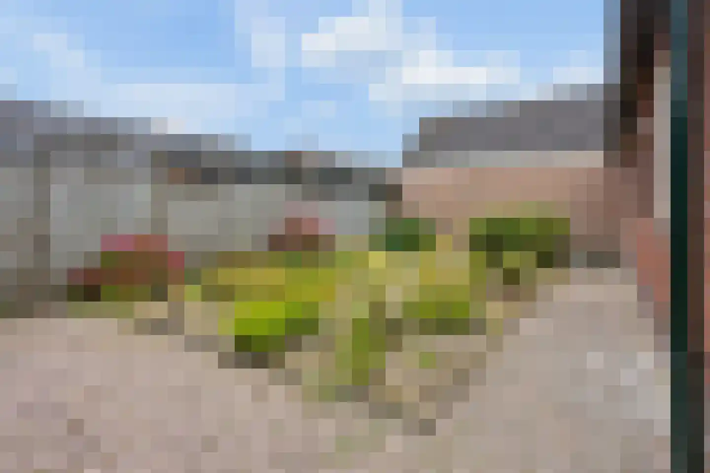 Brouwerspad 20 Nijkerkerveen thumbnail 35