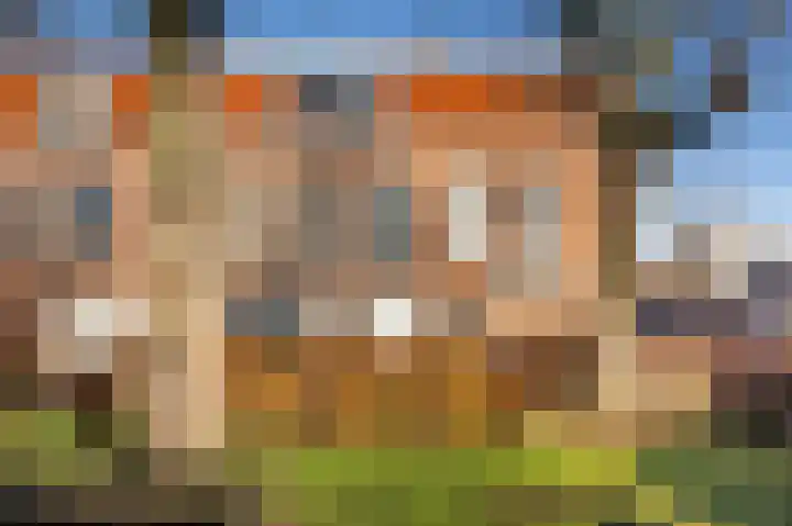 Brouwersplein 8 A Haarlem thumbnail 18