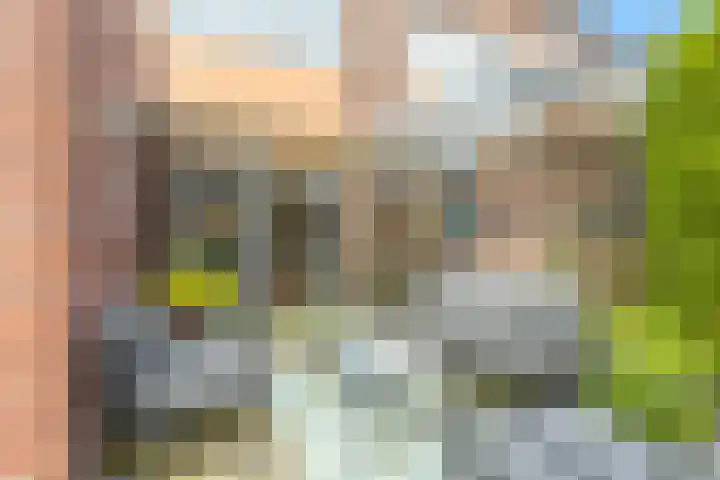 Brouwerssingel 51 Drachten thumbnail 44