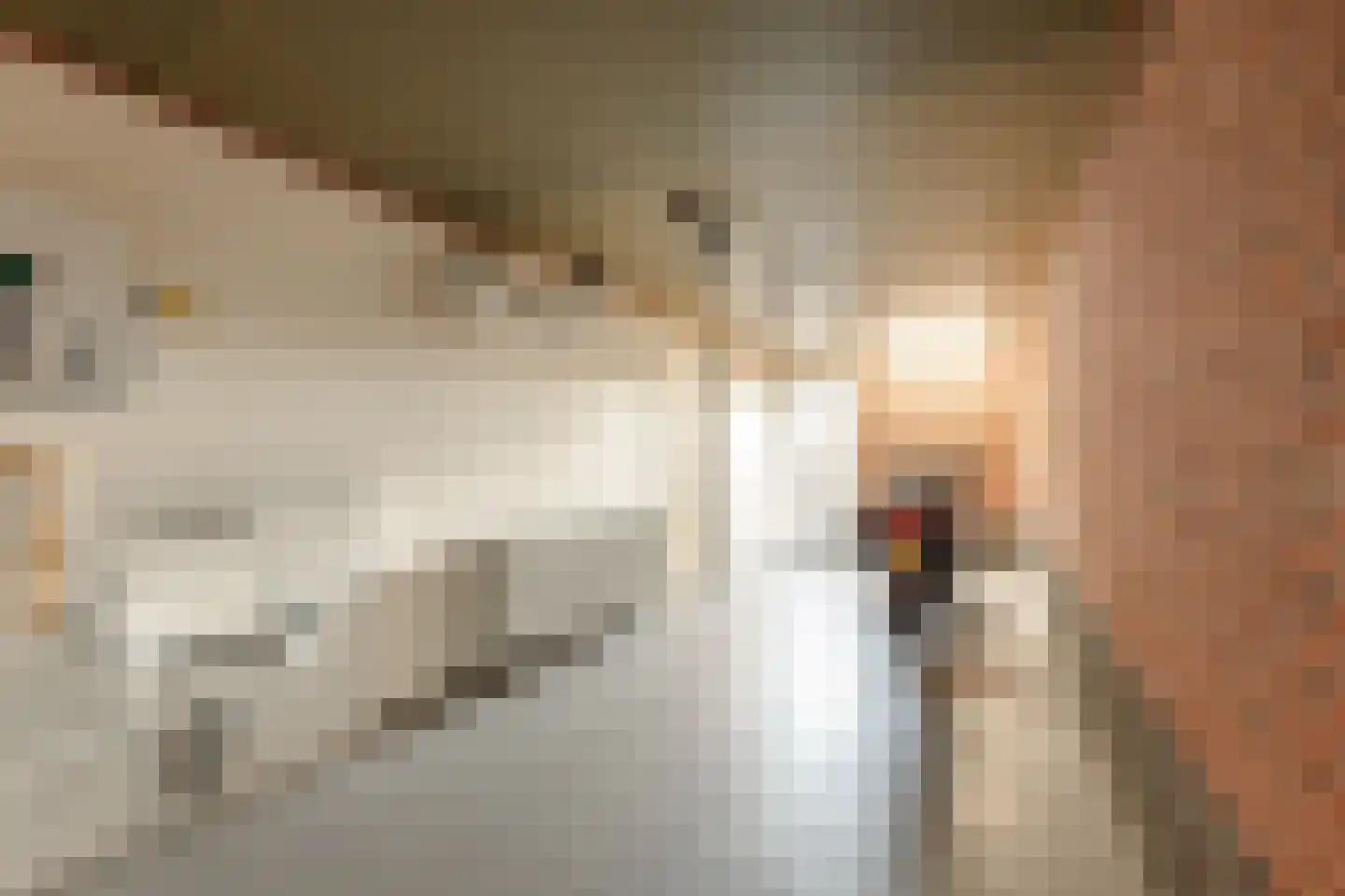 Brouwerssteeg 2 Makkum thumbnail 15