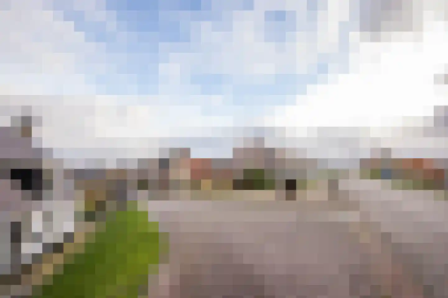 Brouwerssteeg 2 Makkum thumbnail 29