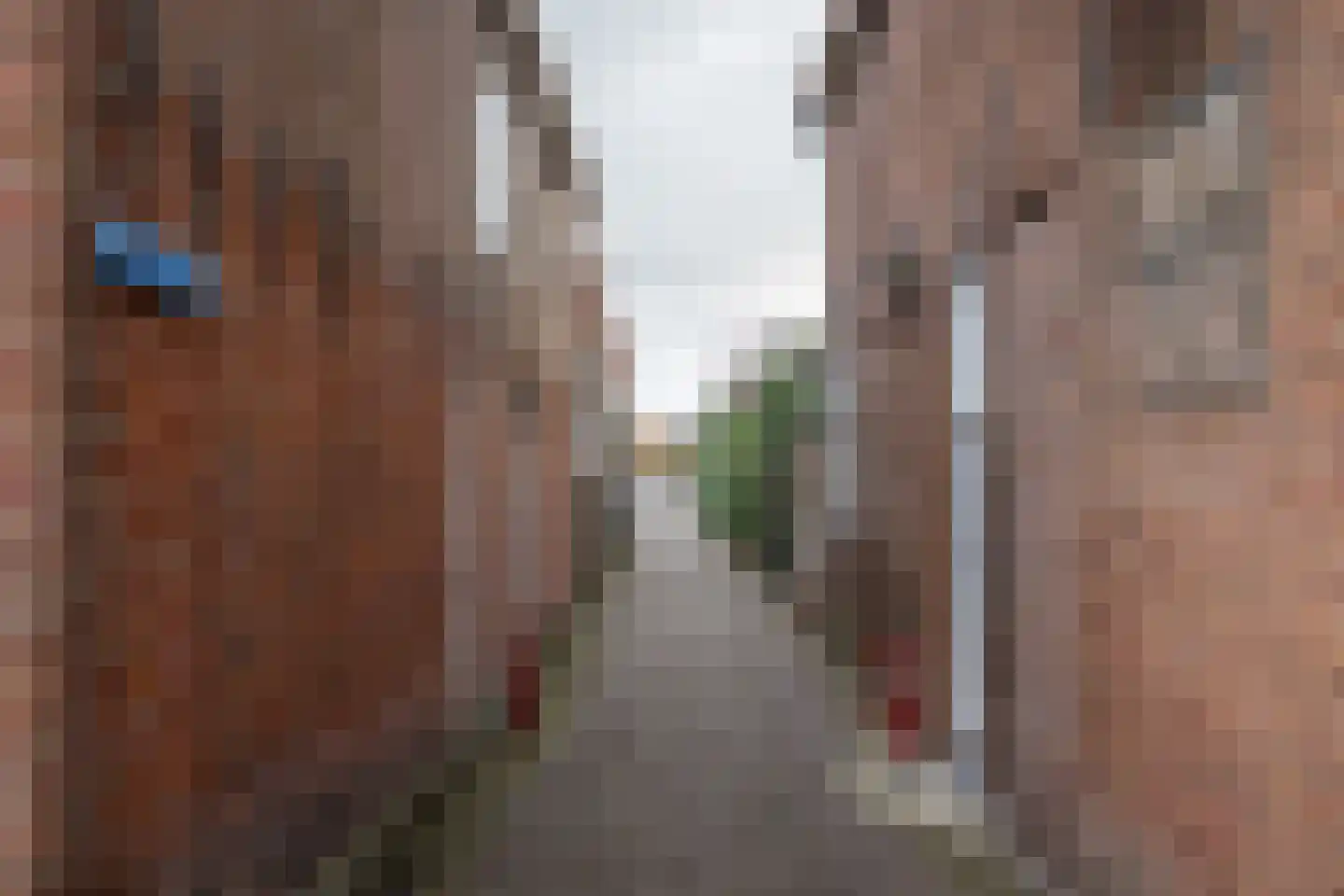 Brouwerssteeg 2 Makkum thumbnail 33